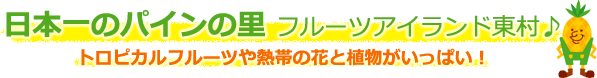 日本一のパインの里